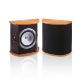 Efektikõlar - Monitor Audio Silver RS FX