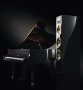 Põrandakõlar Yamaha NS-9900 - Pilt 2 / thumb