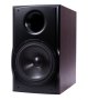 Aktiiv subwoofer Radiotehnika X-Line ASW-1 - Pilt 1 / thumb
