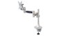 Monitori kinnitus lauale MyWall HL2-2L - Pilt 1 / thumb