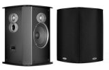 Efektikõlar - Polk Audio FXi A6