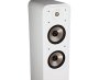 Põrandakõlar Polk Audio Signature Elite S55 - Pilt 7 / thumb