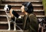 Bluetooth kõrvaklapid Audio-Technica ATH-M50xBT2 Black - Pilt 10 / thumb