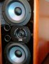 Riiulikõlar Polk Audio LSi9 - Pilt 5 / thumb
