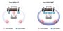 5.1 Kodukino ressiiver Yamaha RX-V377 - Pilt 7 / thumb