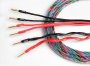 Kõlarikaabel Taga Harmony Azure 12-14 BIWIRE (OFC, 2 x 3m) - Pilt 1 / thumb