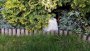 Aiakõlar Taga Harmony TRS-10 White Granite - Pilt 10 / thumb