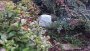 Aiakõlar Taga Harmony TRS-10 White Granite - Pilt 11 / thumb