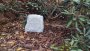 Aiakõlar Taga Harmony TRS-10 White Granite - Pilt 8 / thumb