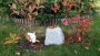 Aiakõlar Taga Harmony TRS-10 White Granite - Pilt 9 / thumb