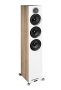 Põrandakõlar Elac Debut Reference DFR62 - Pilt 6 / thumb