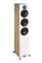 Põrandakõlar Elac Debut Reference DFR62 - Pilt 1 / thumb