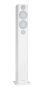 Põrandakõlar Monitor Audio Radius 270 3G - Pilt 1 / thumb