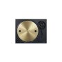 Vinüülplaadi mängija Technics SL-1300G - Pilt 6 / thumb